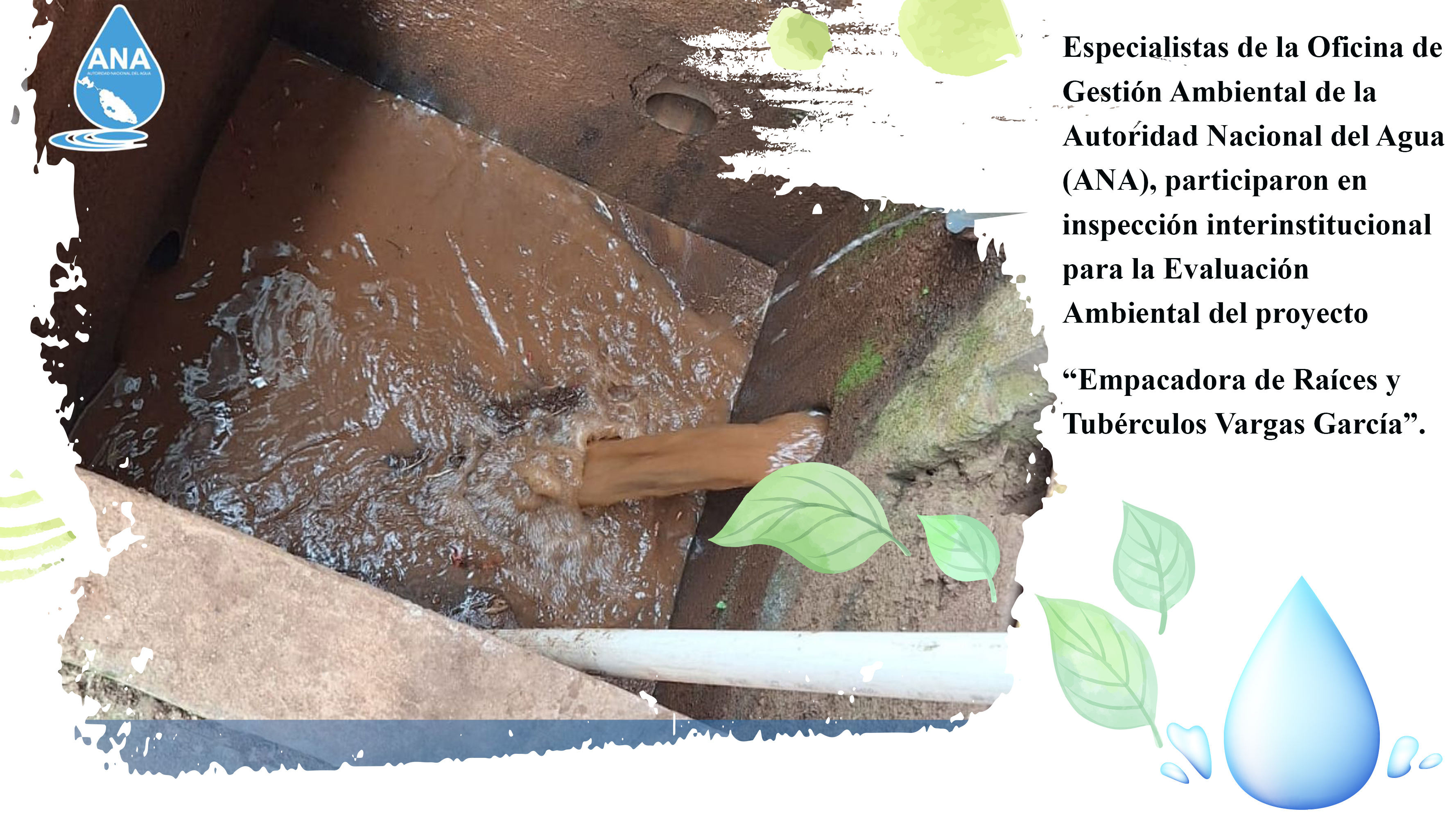 Ambiental
