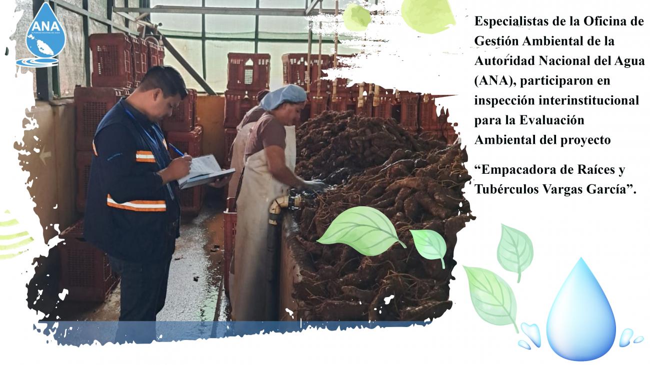 Inspección interinstitucional para la Evaluación Ambiental del proyecto “Empacadora de Raíces y Tubérculos Vargas García”.